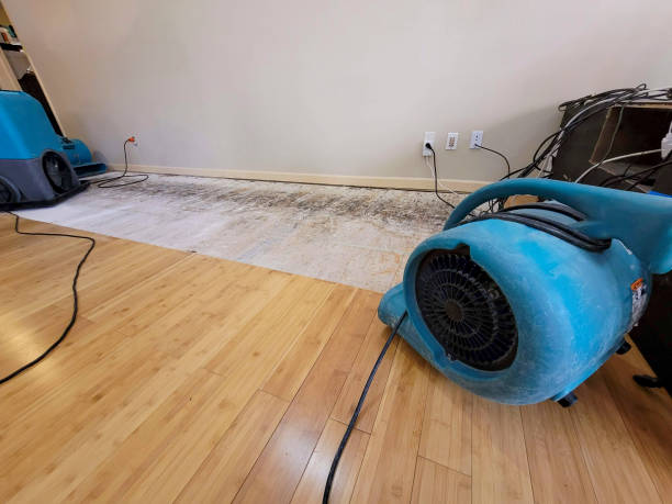 Professional Basement Flood Cleanup technician working in Hampton, TN
